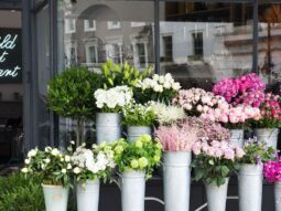 {:en}A Floral Wonderland on Pimlico Road – Aug 2015{:}